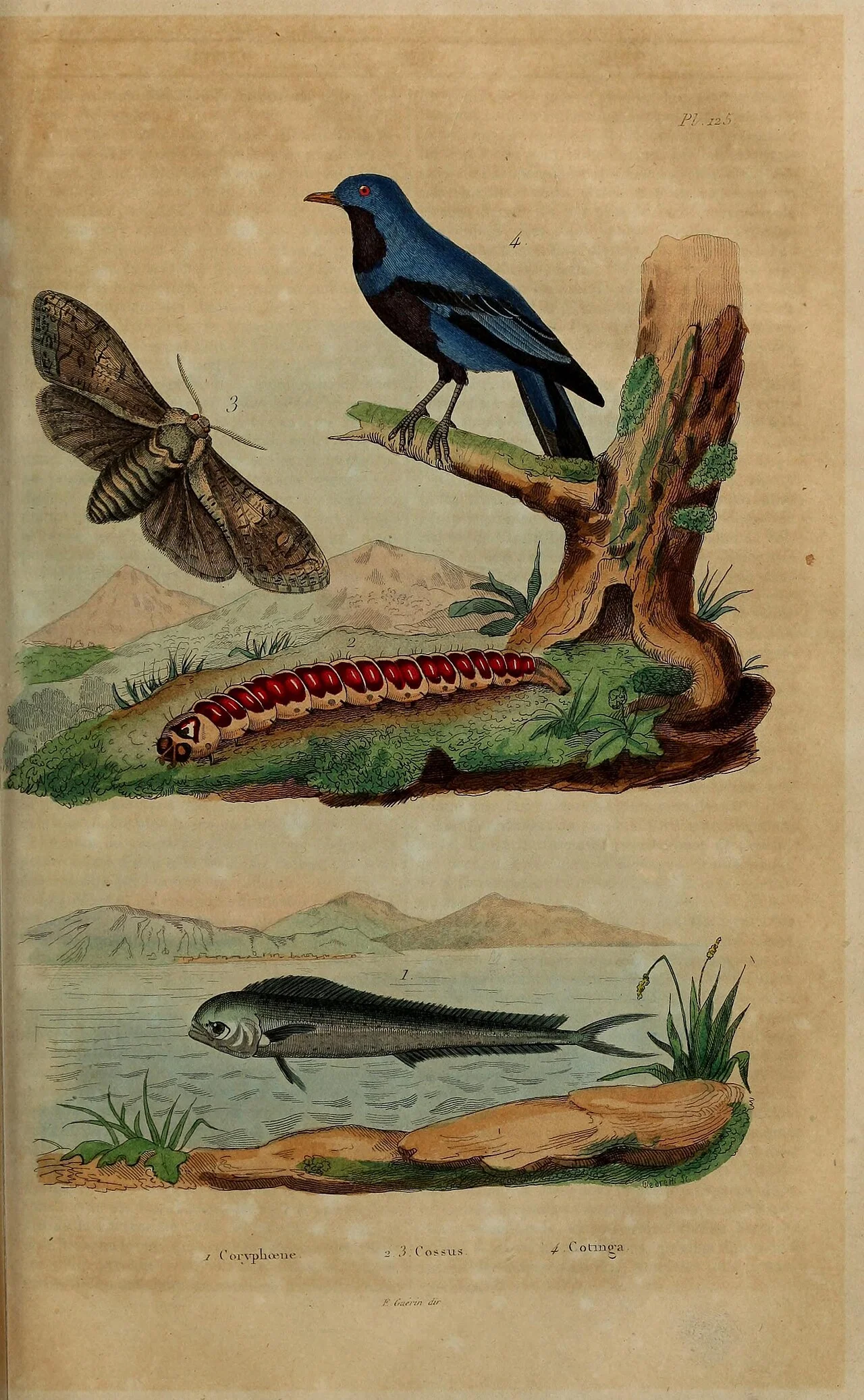 Photo of Bada Barabīl