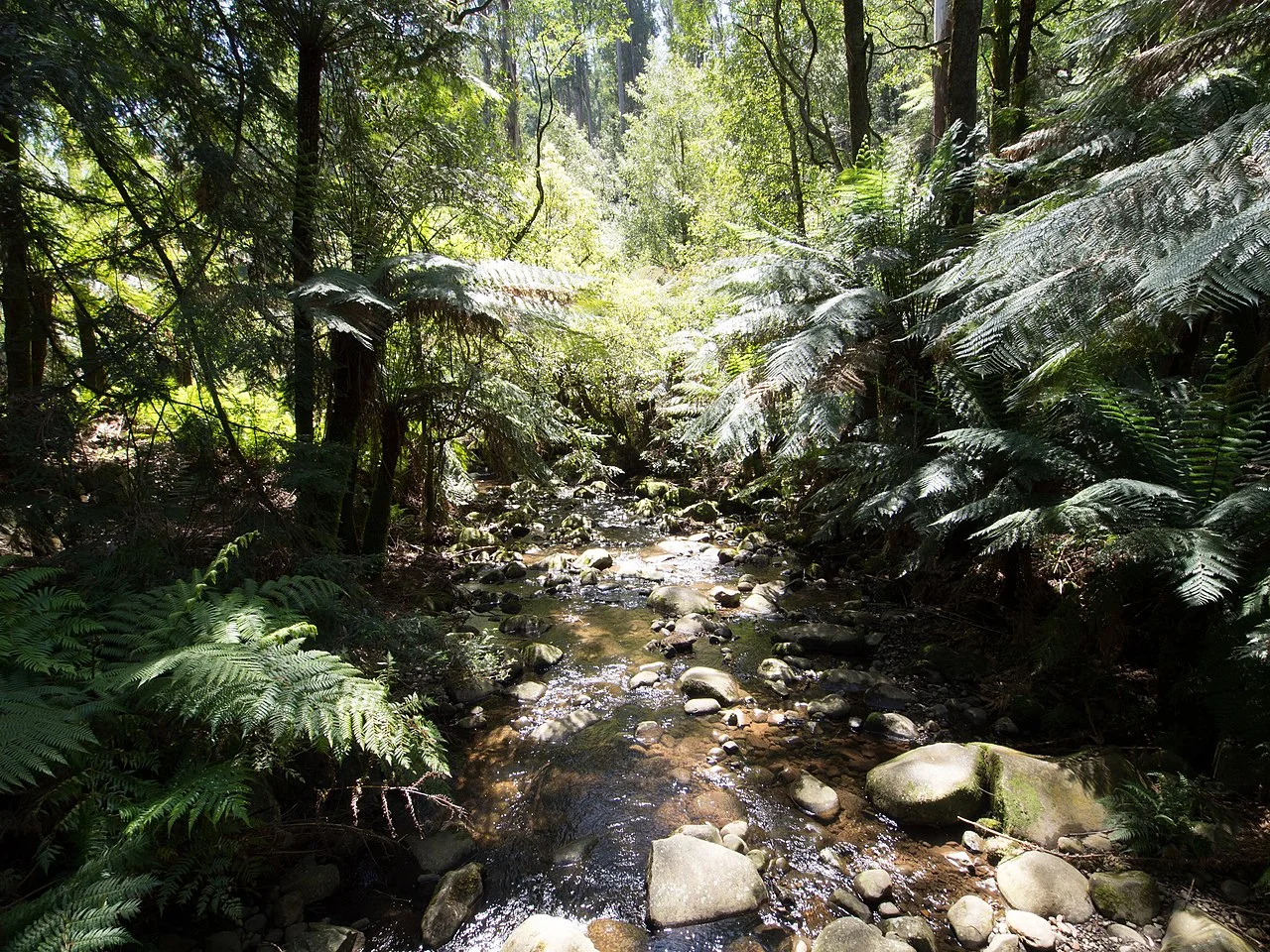 Photo of Badger Creek