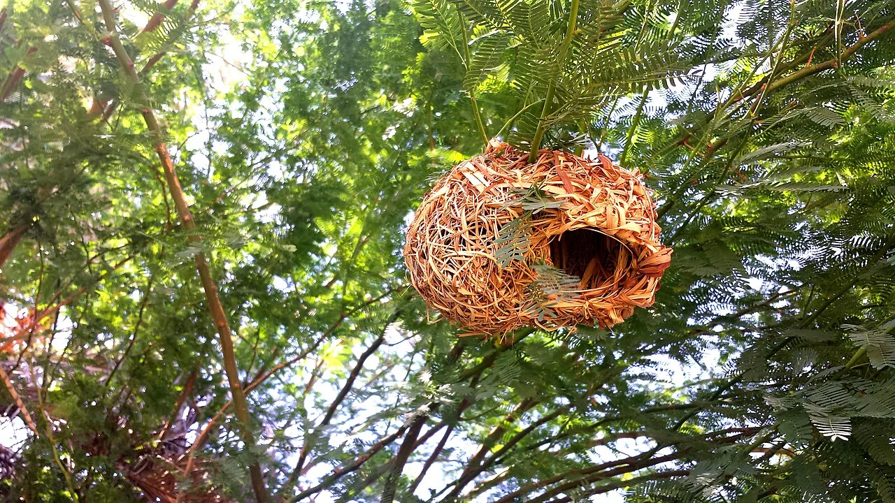 Photo of Badr Ḩunayn