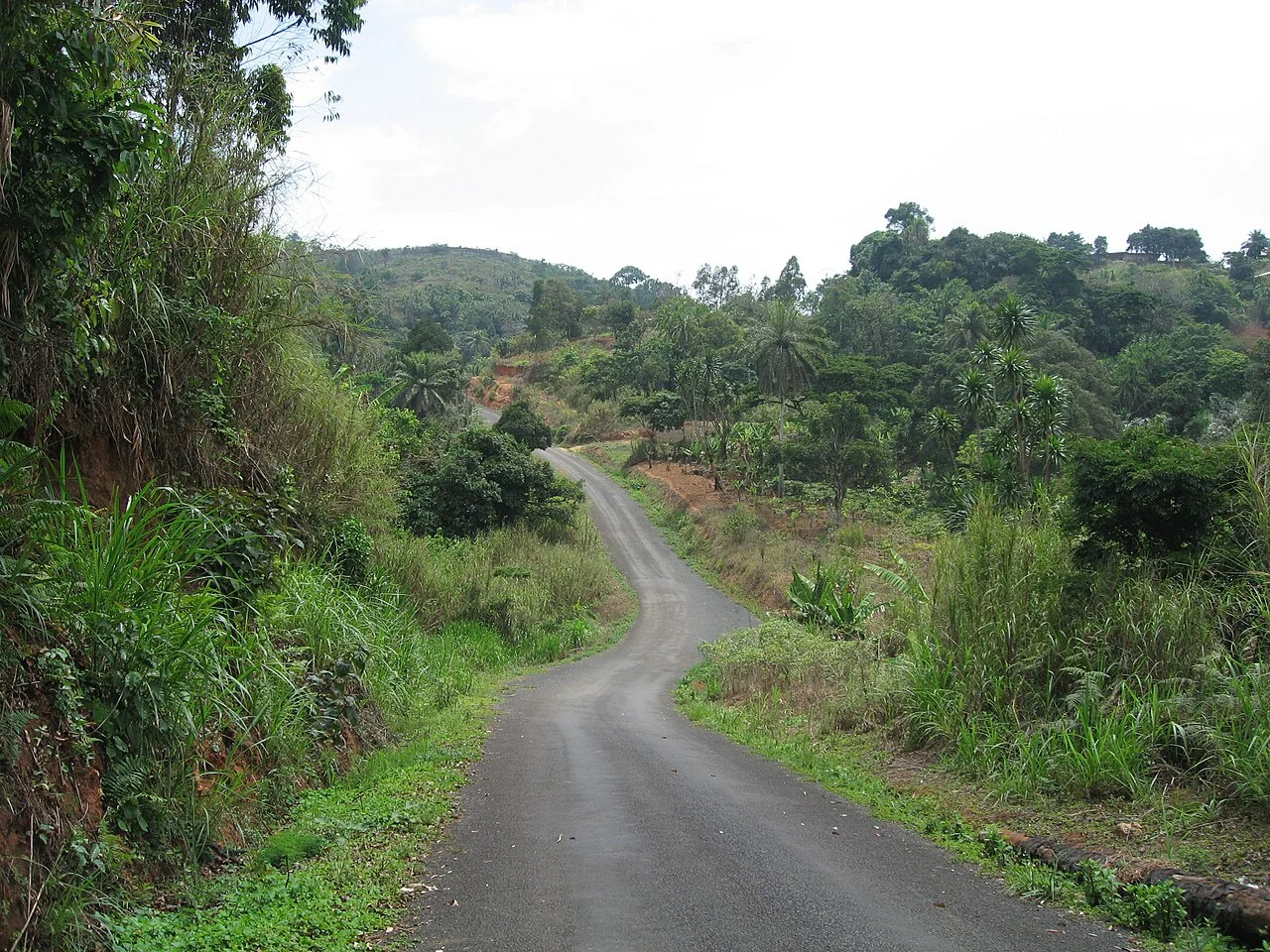Photo of Bafang