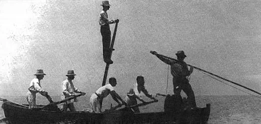 Photo of Bagnara Calabra