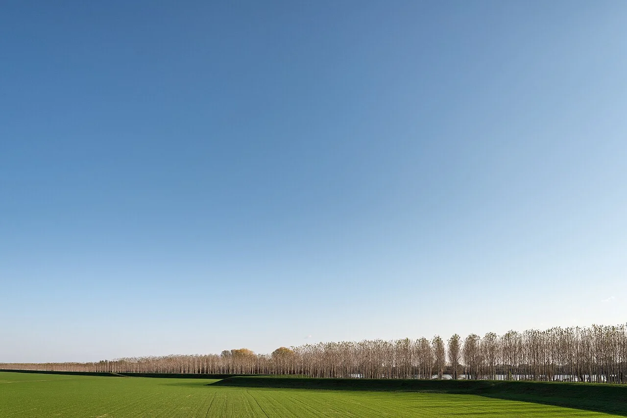 Photo of Bagnolo San Vito