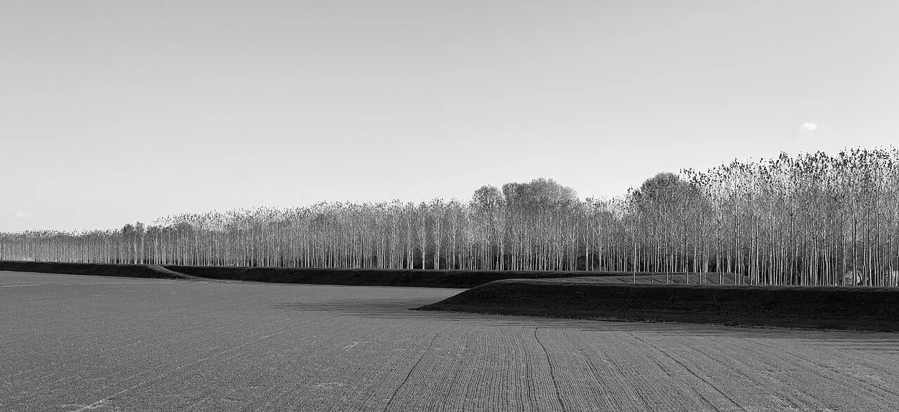 Photo of Bagnolo San Vito