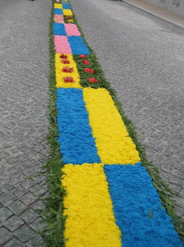 Photo of Baguim do Monte