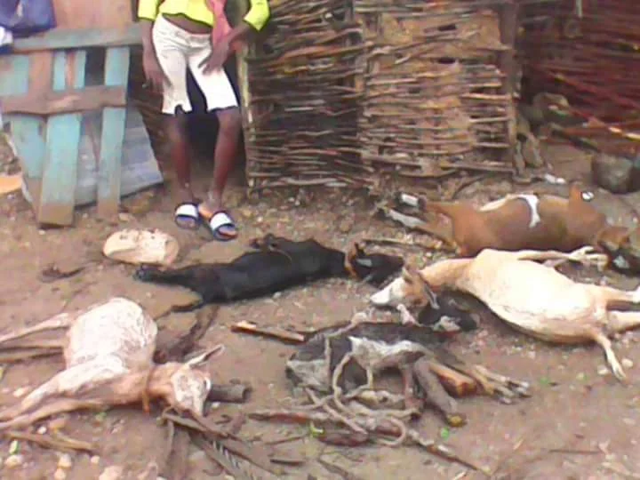 Photo of Baie de Henne