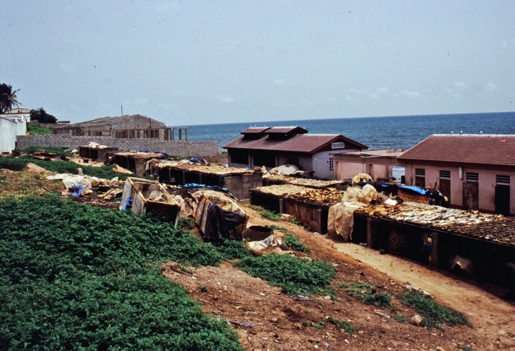 Photo of Bakau New Town