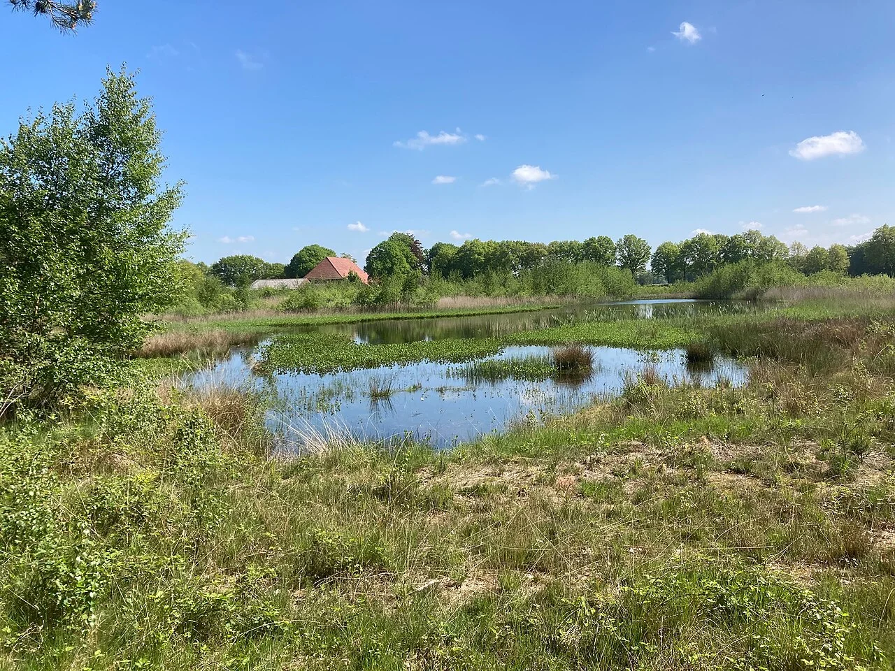 Photo of Bakkeveen
