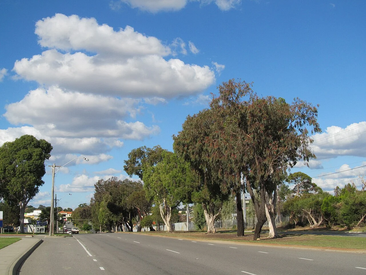 Photo of Balcatta