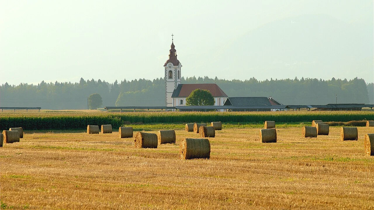 Photo of Bale Hawassa