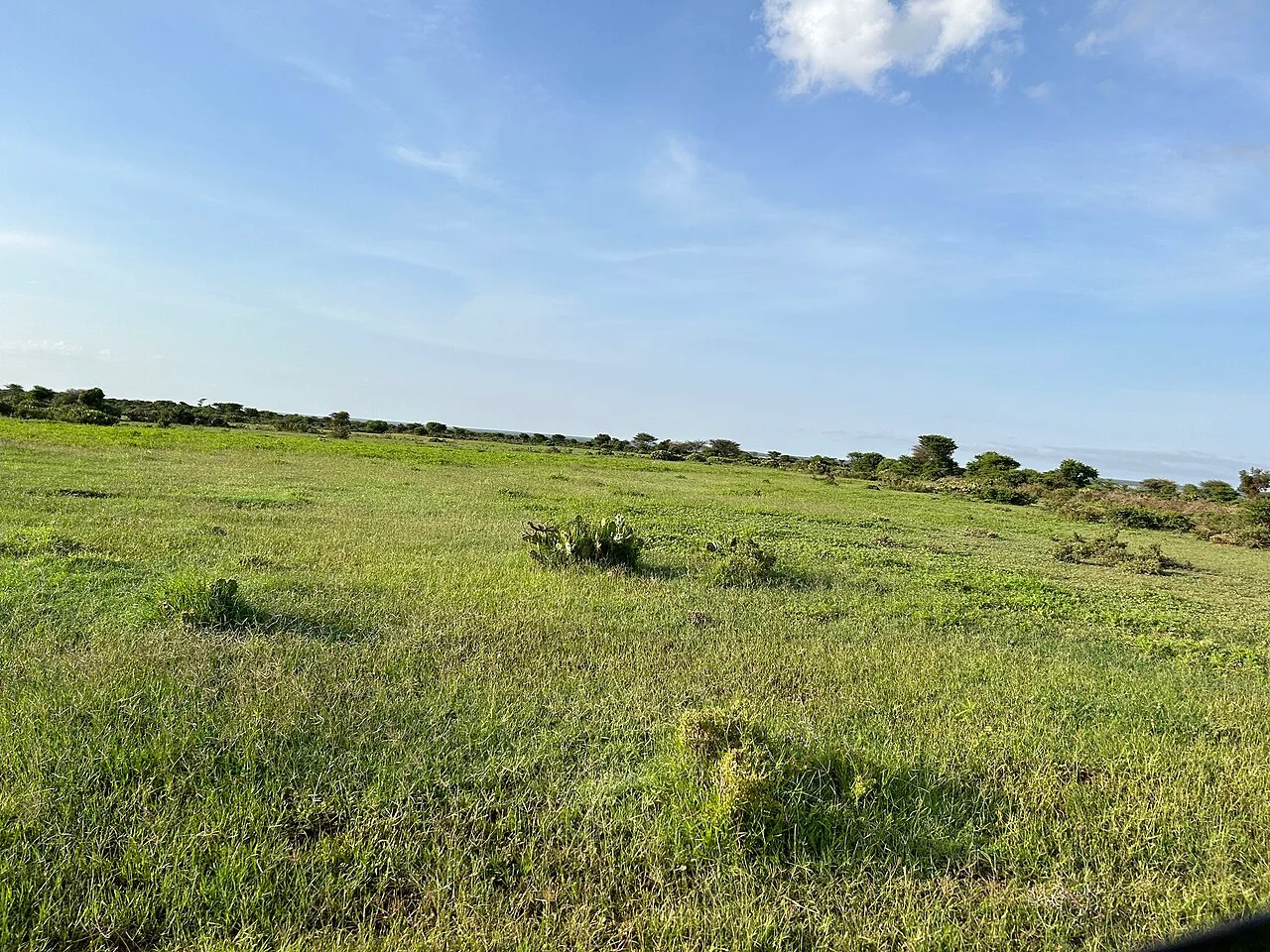 Photo of Baligubadle