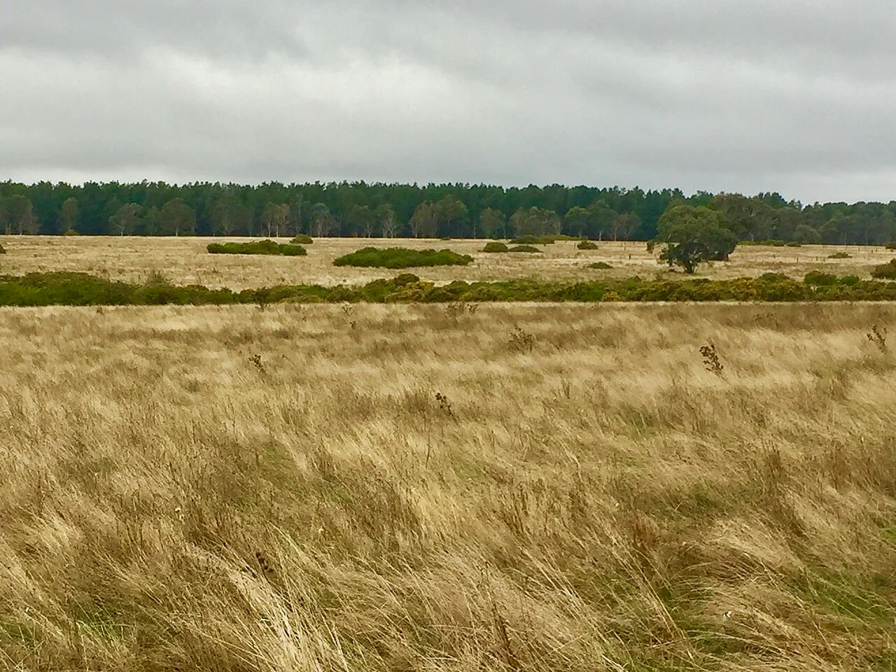 Photo of Ballarat North