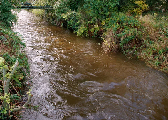 Photo of Ballynahinch