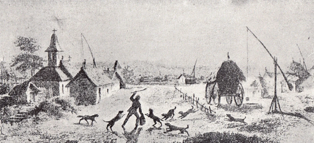 Photo of Balta Albă