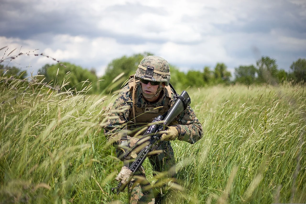 Photo of Balta Verde