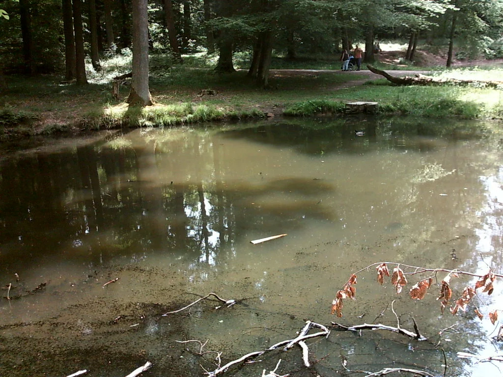 Photo of Baltmannsweiler