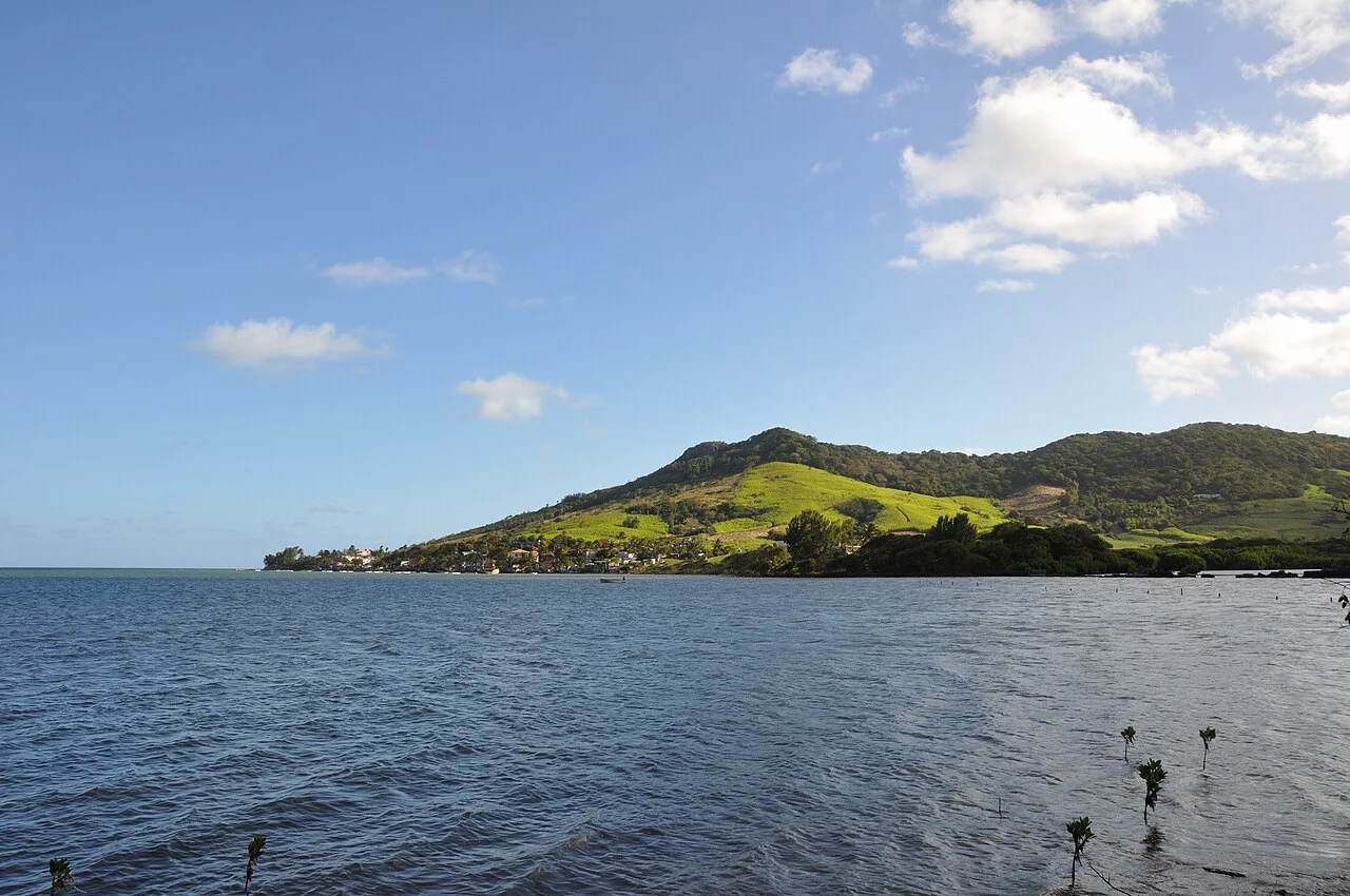 Photo of Bambous Virieux