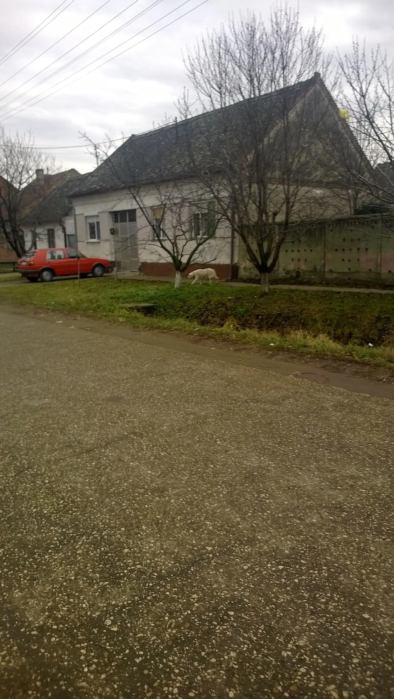 Photo of Banatski Karlovac