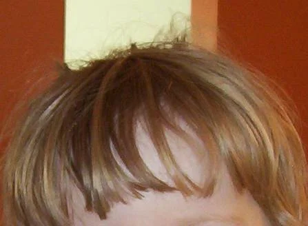 Photo of Bangs