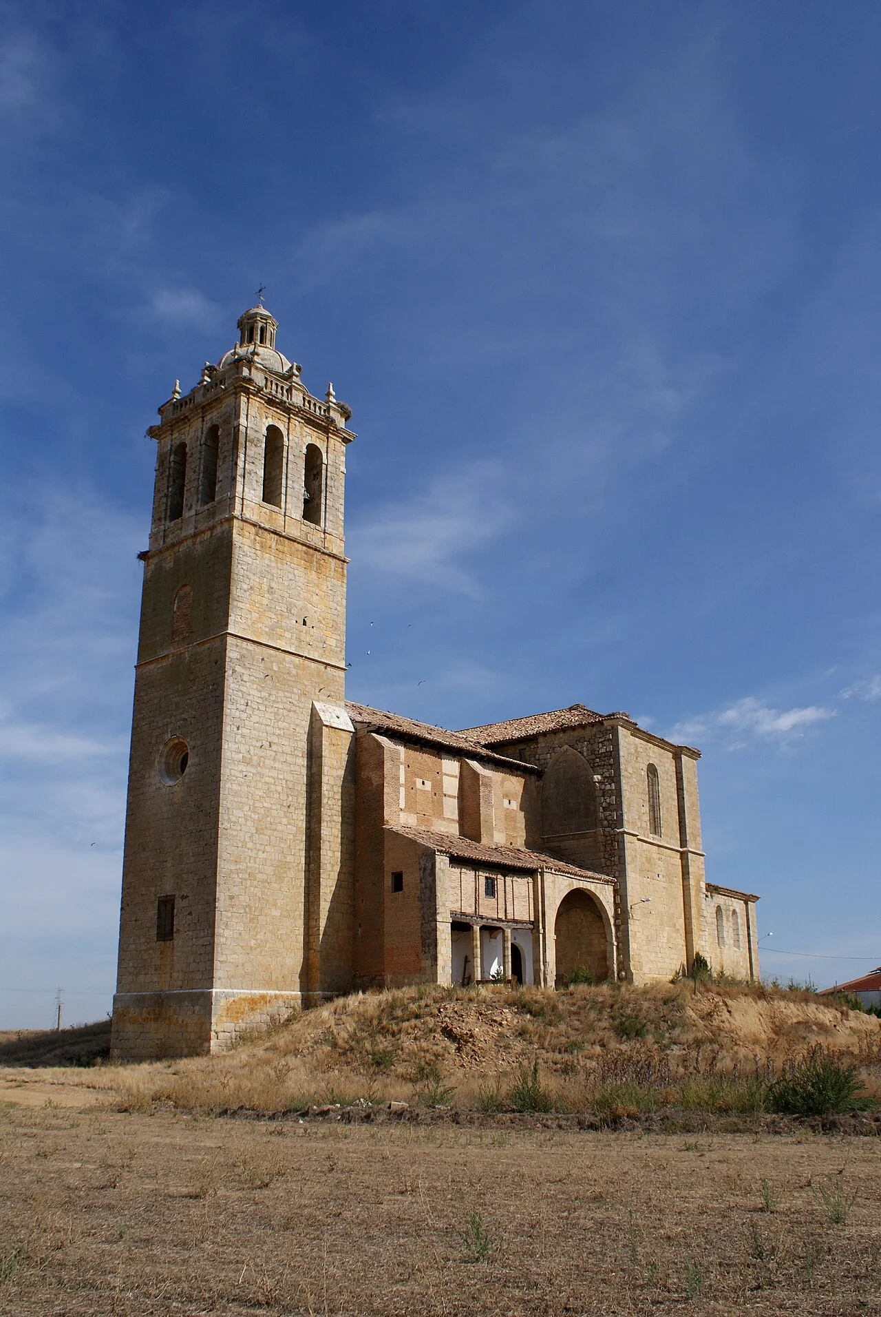 Photo of Baquerín de Campos