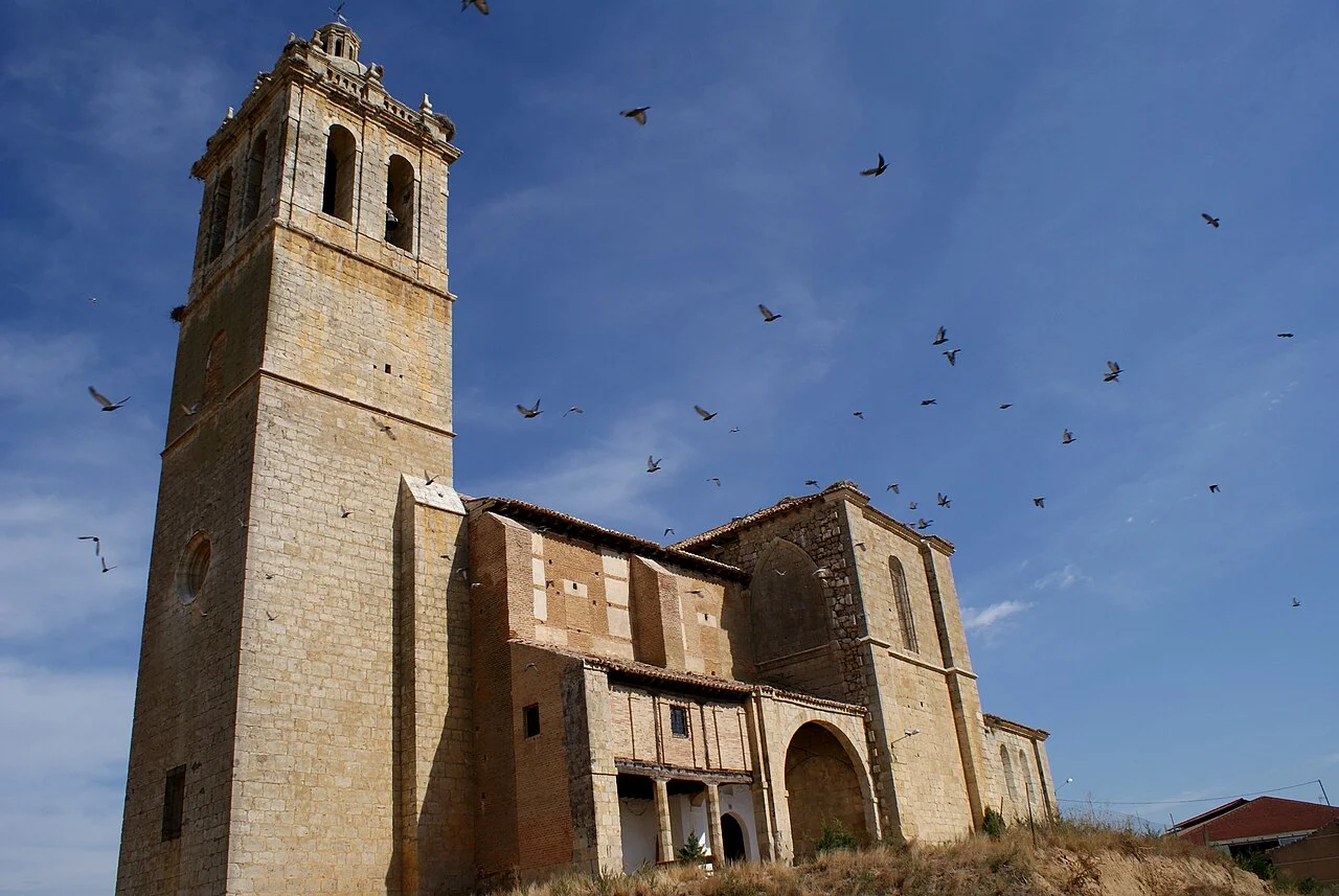 Photo of Baquerín de Campos