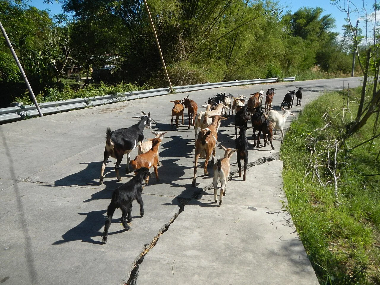 Photo of Baquero Norte