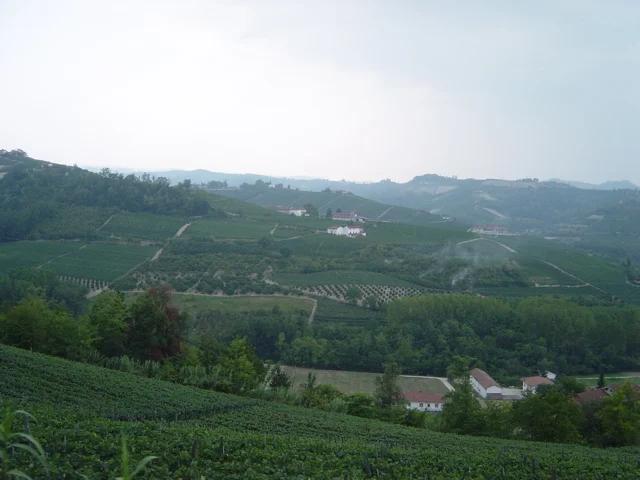 Photo of Barbaresco