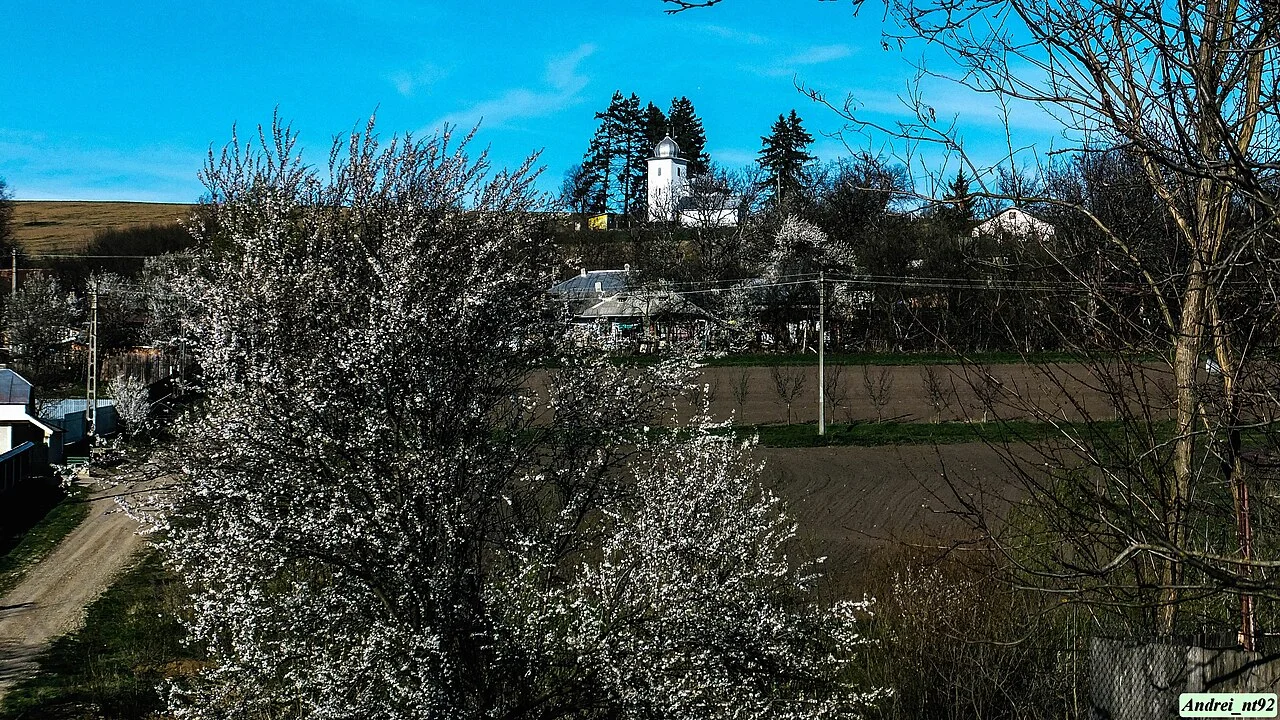 Photo of Bârgăuani