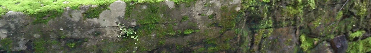 Photo of Barra do Corda