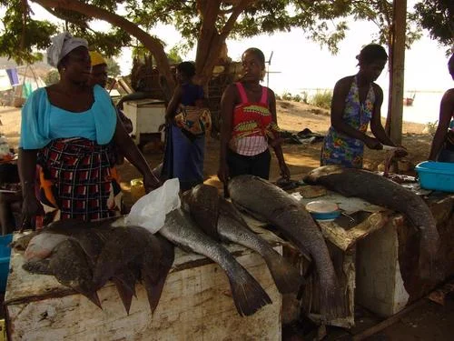 Photo of Barra do Dande