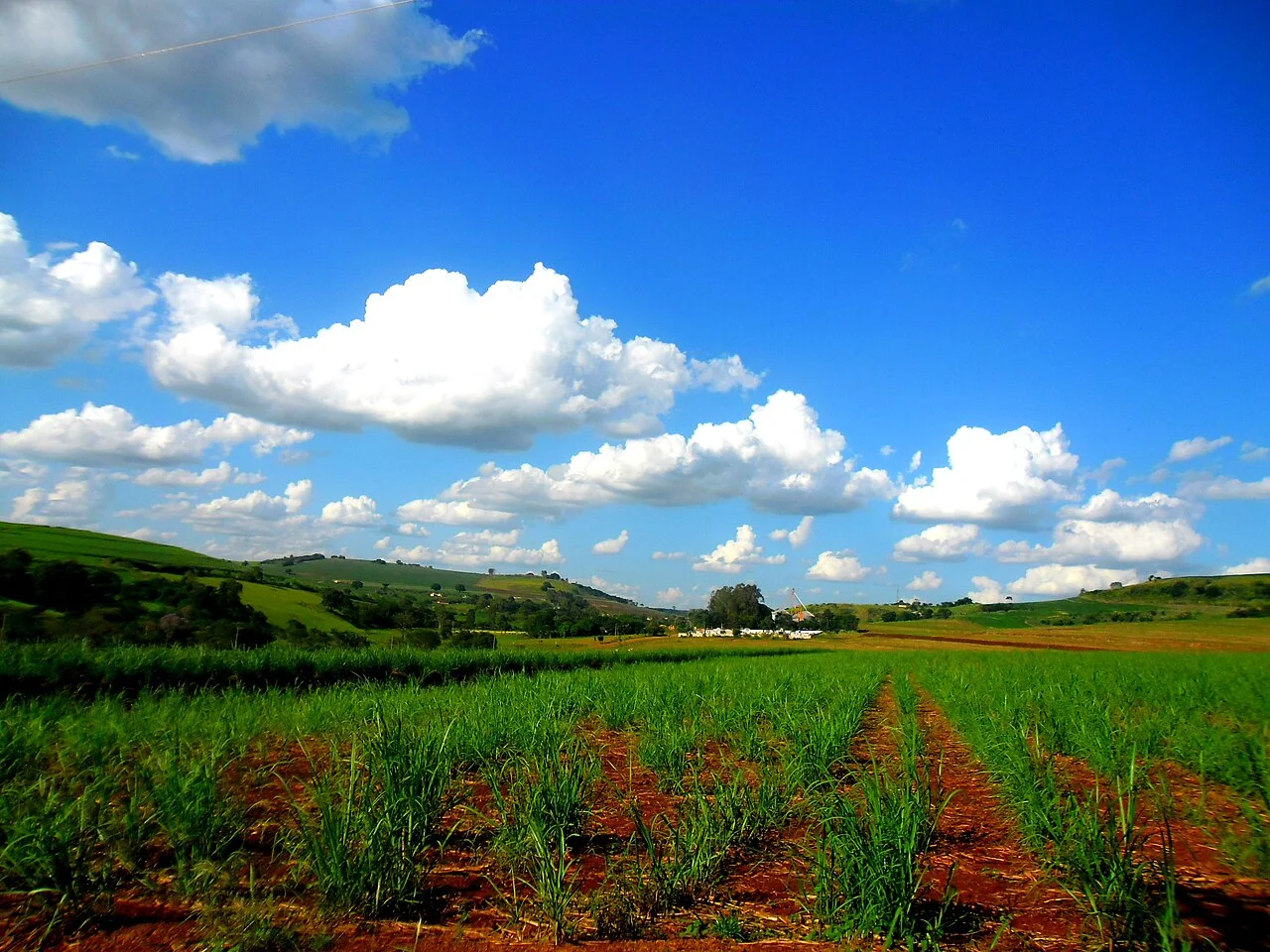 Photo of Barra do Jacaré