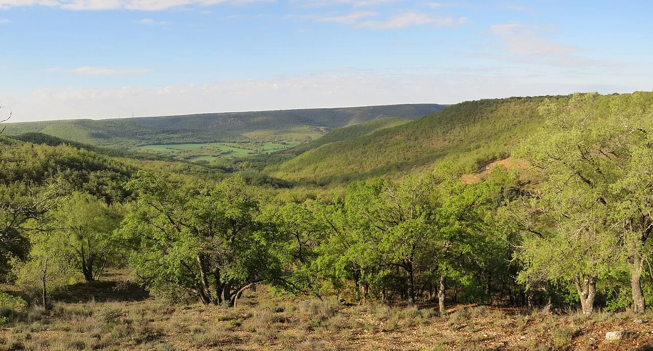 Photo of Barriopedro