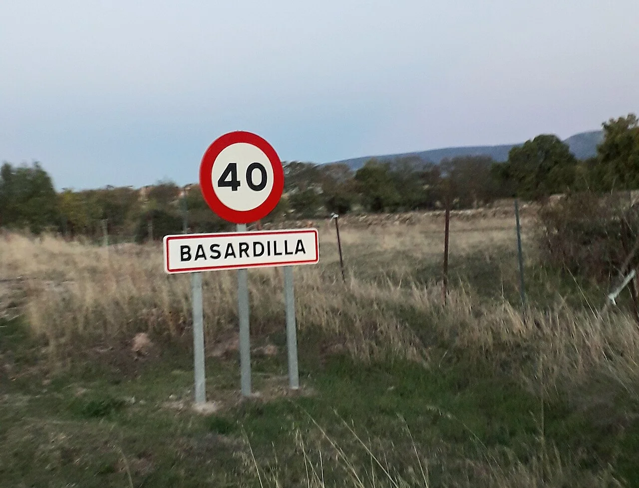 Photo of Basardilla