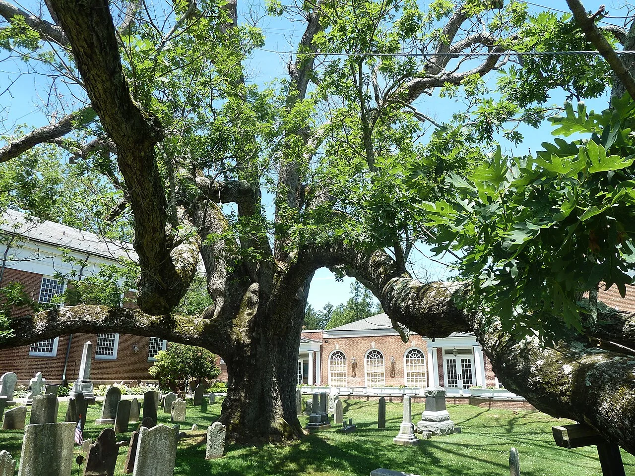 Photo of Basking Ridge