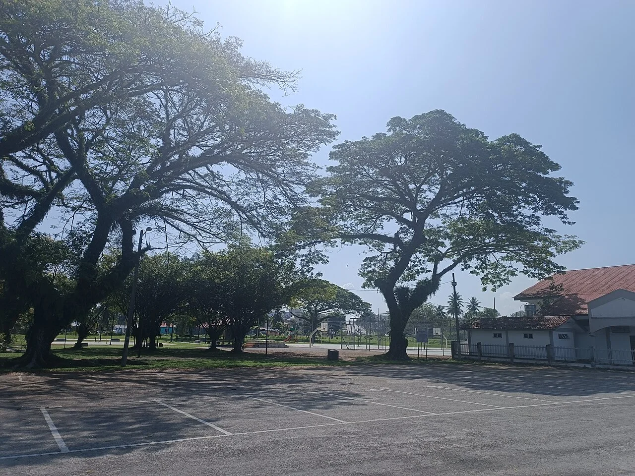 Photo of Batang Berjuntai