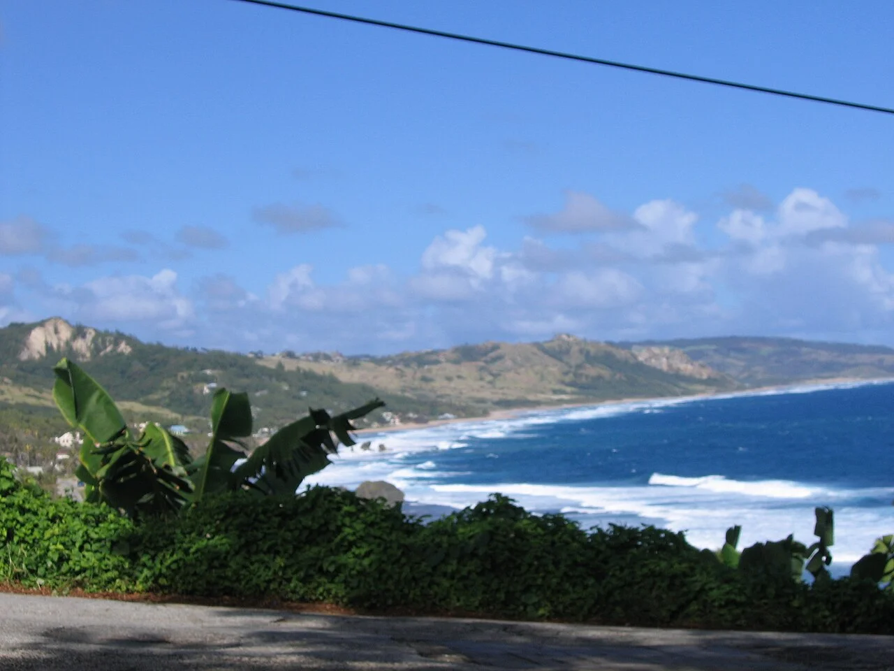 Photo of Bathsheba