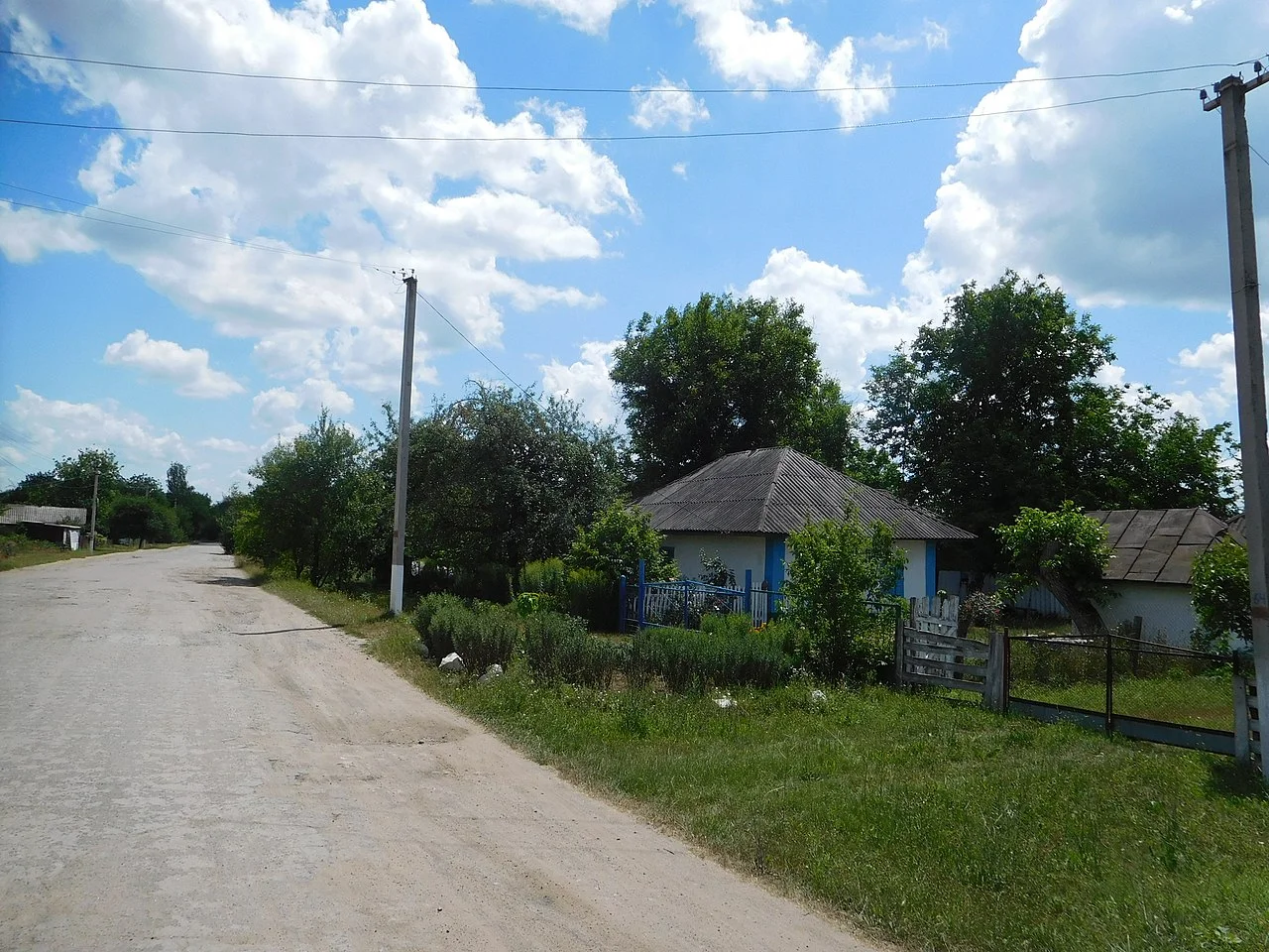 Photo of Baybuzivka