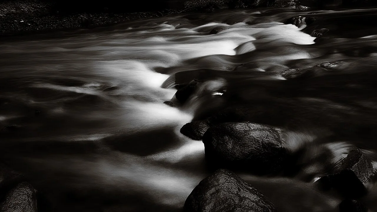 Photo of Bayview Woods-Steeles