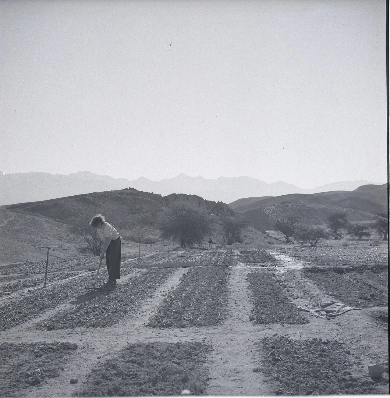 Photo of Be’er Ora