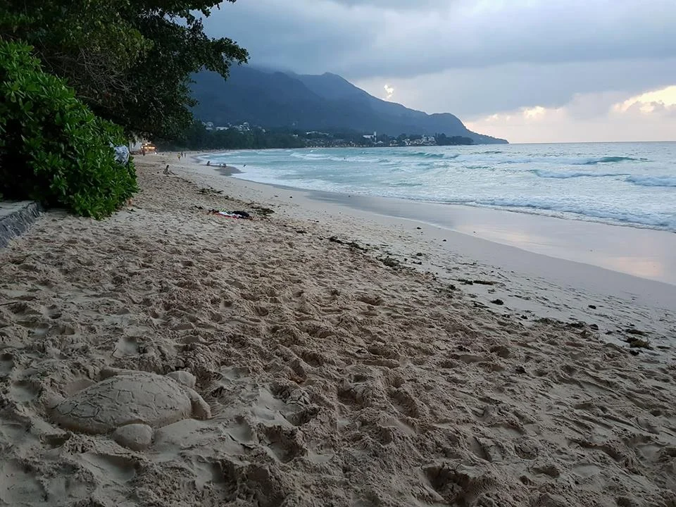 Photo of Beau Vallon