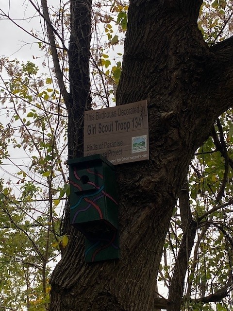 Birdfeeder on trail