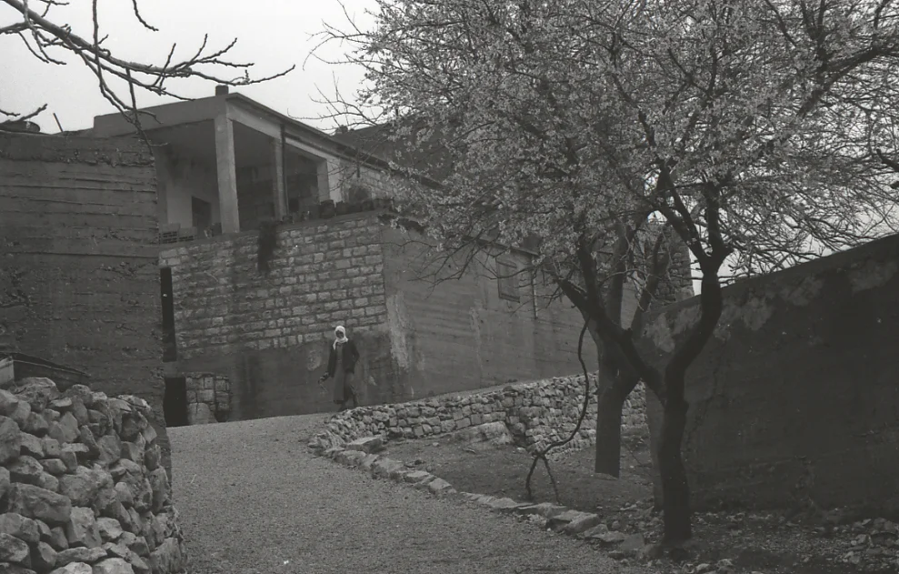 Photo of Beit Jann