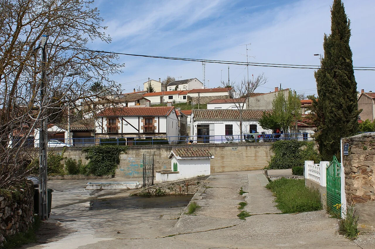 Photo of Beleña