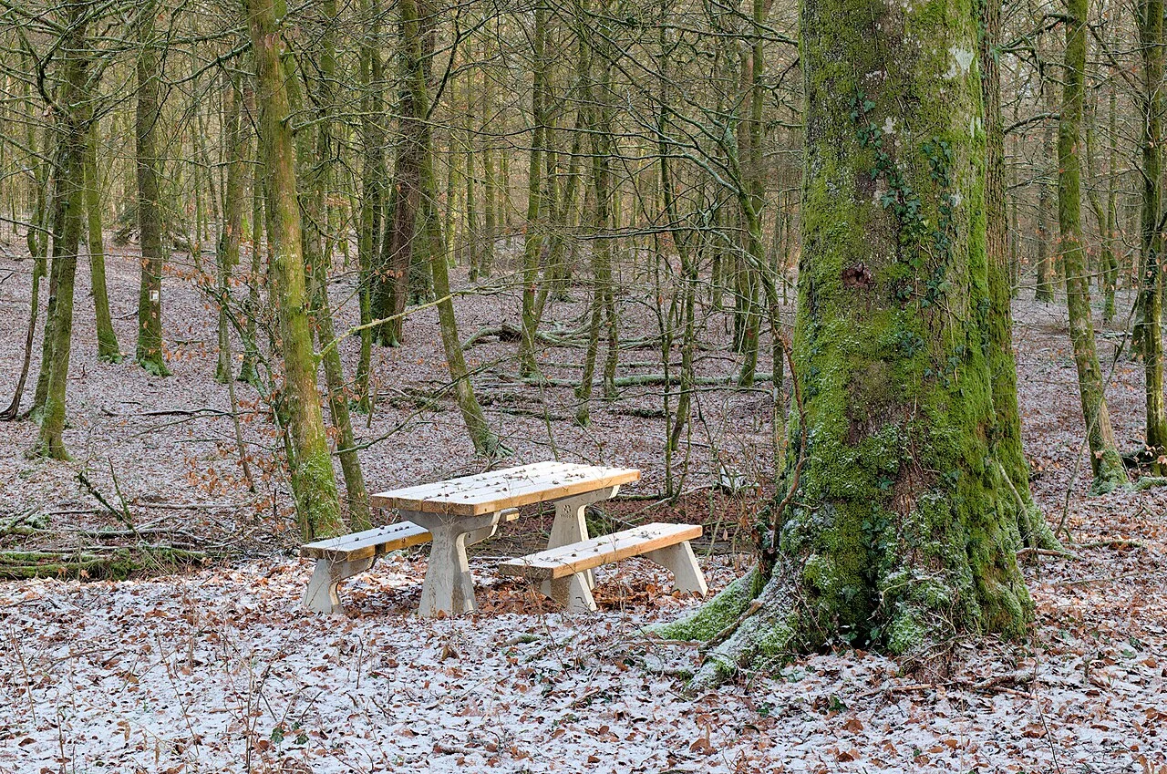 Photo of Bellefontaine