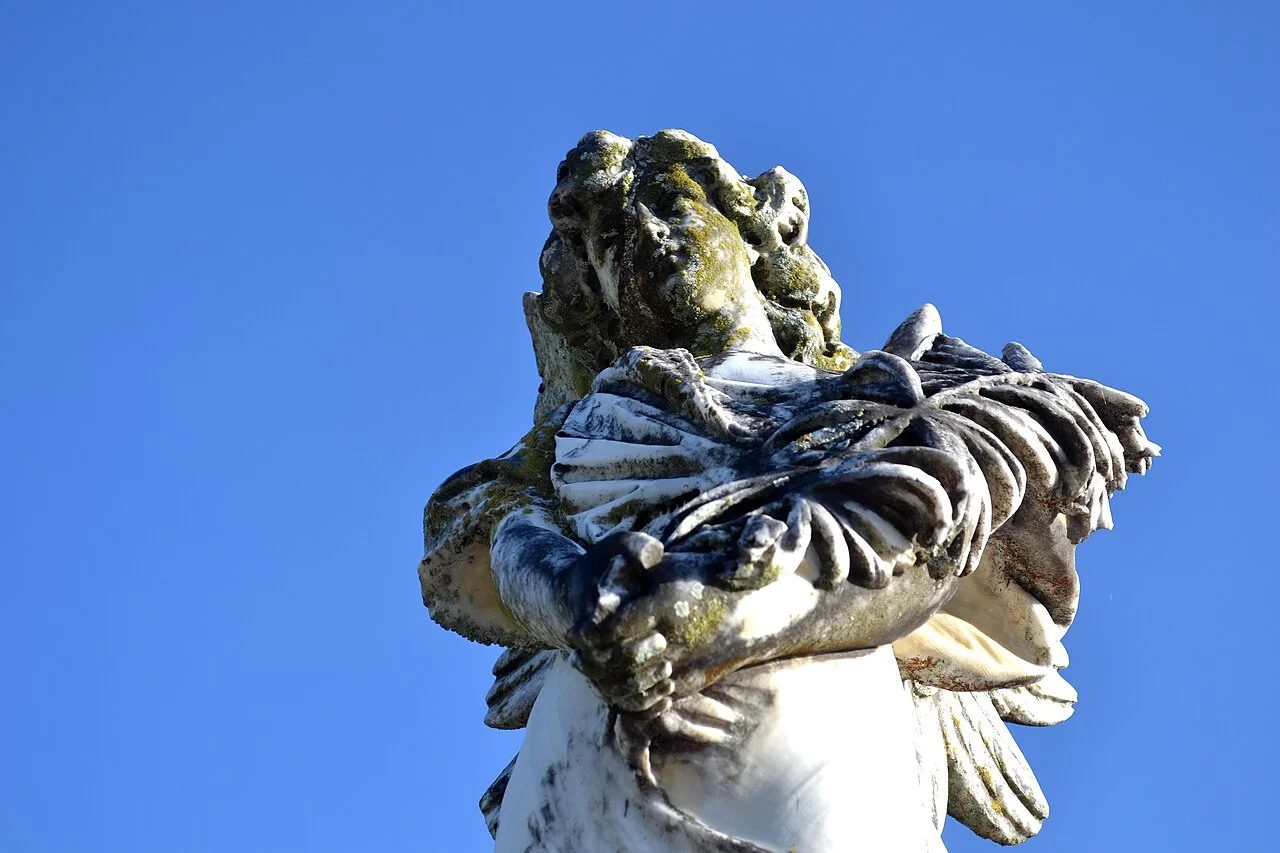 Photo of Belmiro Braga