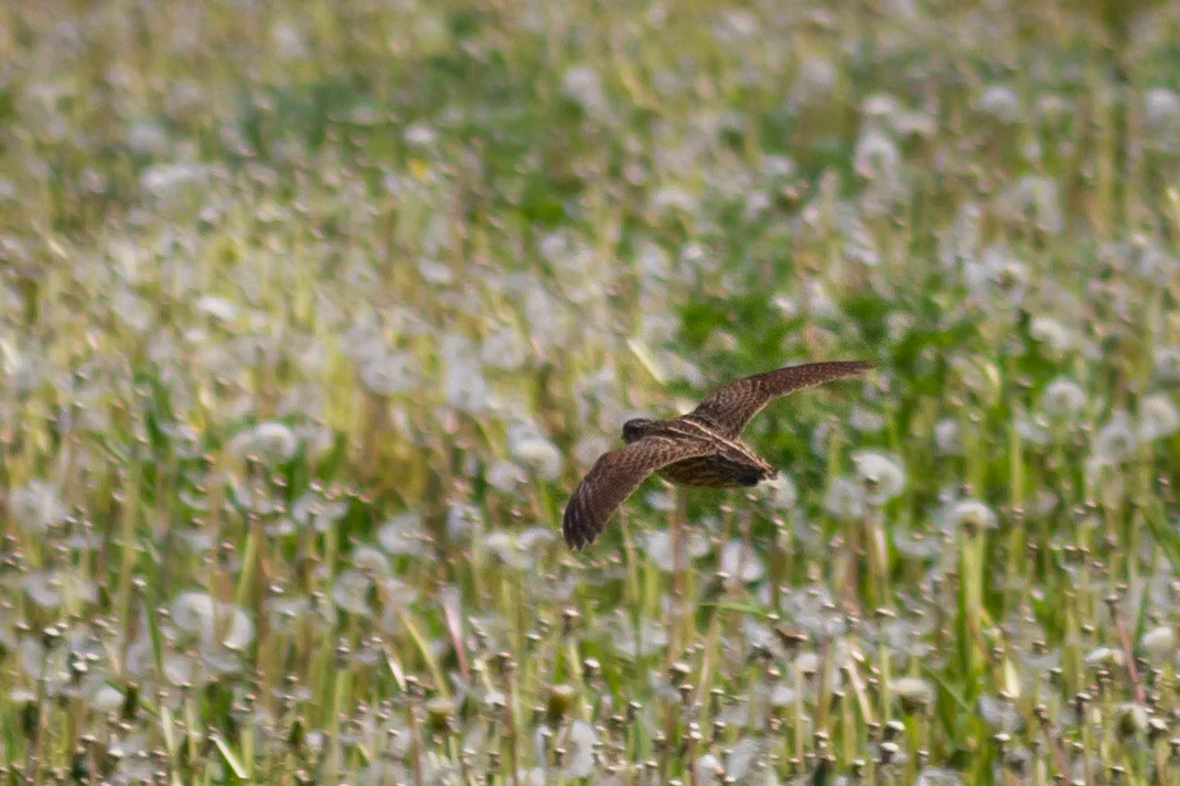 Photo of Beloyarskiy