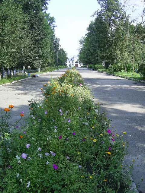 Photo of Belyye Berega