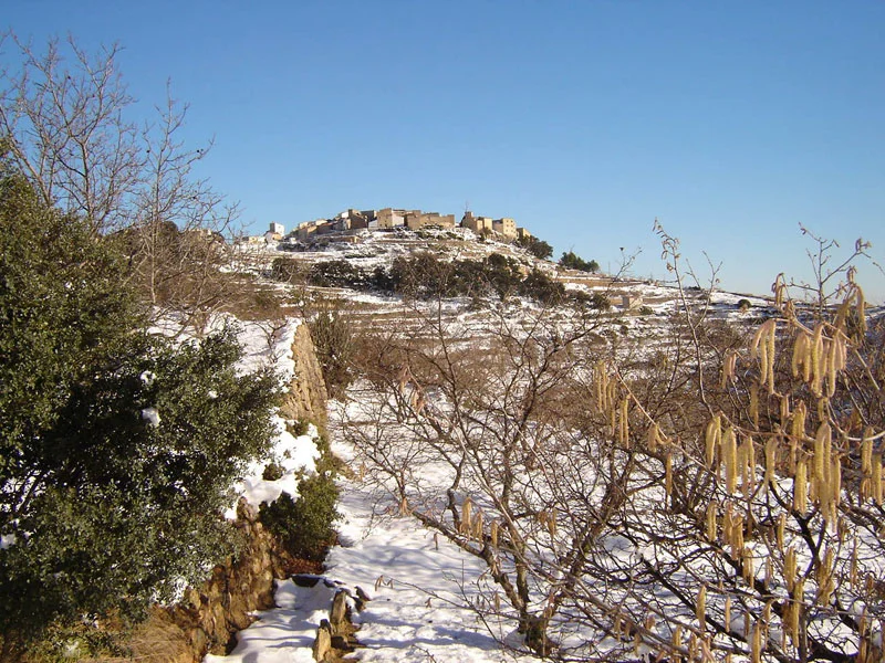 Photo of Benafigos