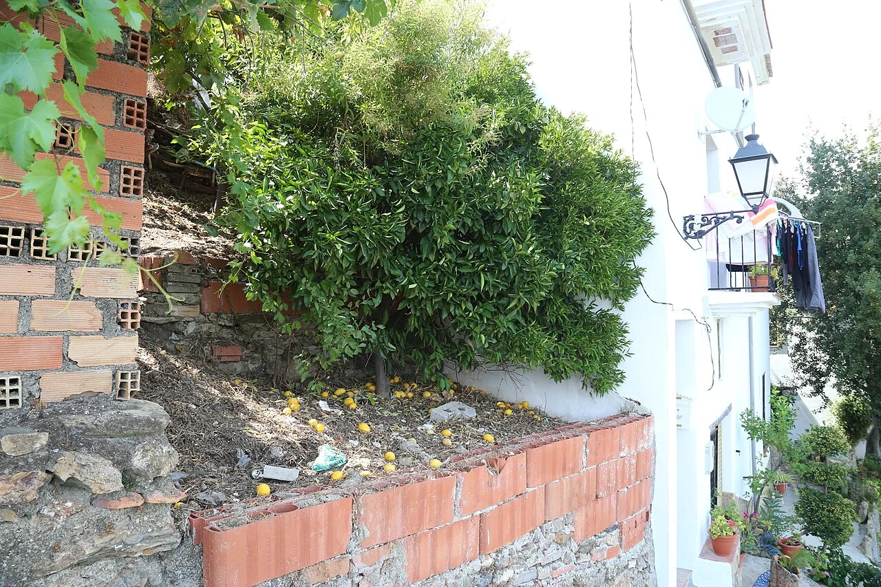 Photo of Benalauría