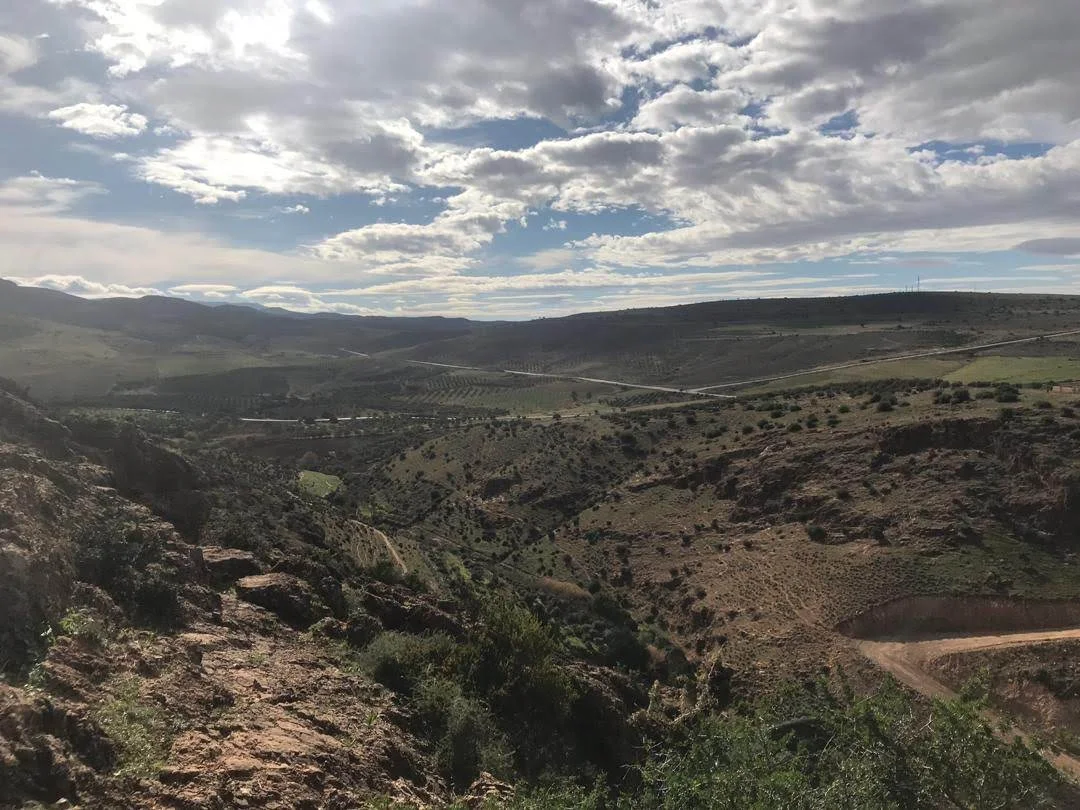 Photo of Beni Mester