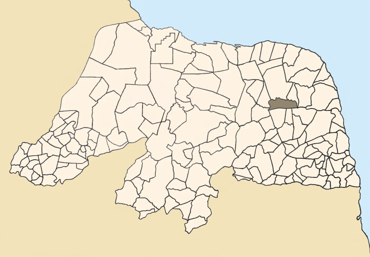 Photo of Bento Fernandes